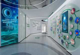 中山国际货代智利专线承诺守信