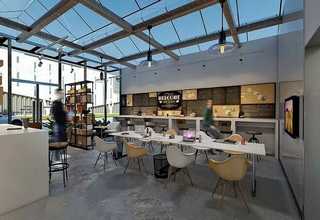 上城区喜干植物租赁服务