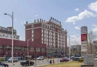 铜梁区早熟血橙作用